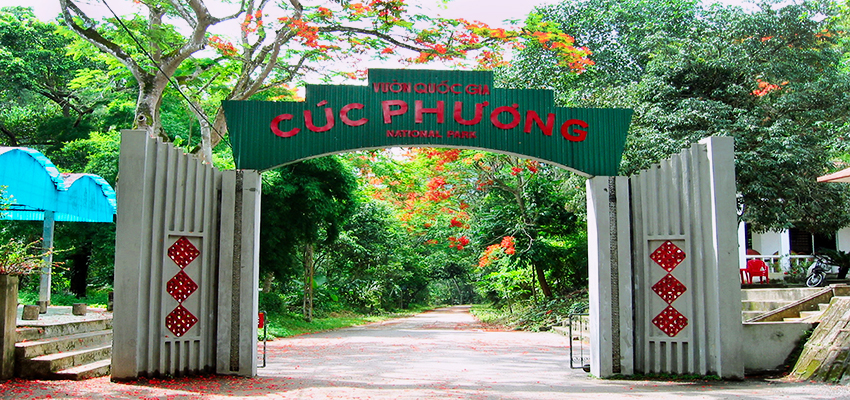 Cuc Phuong National Park