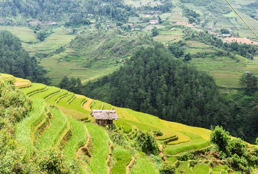 De Xu Phinh Village