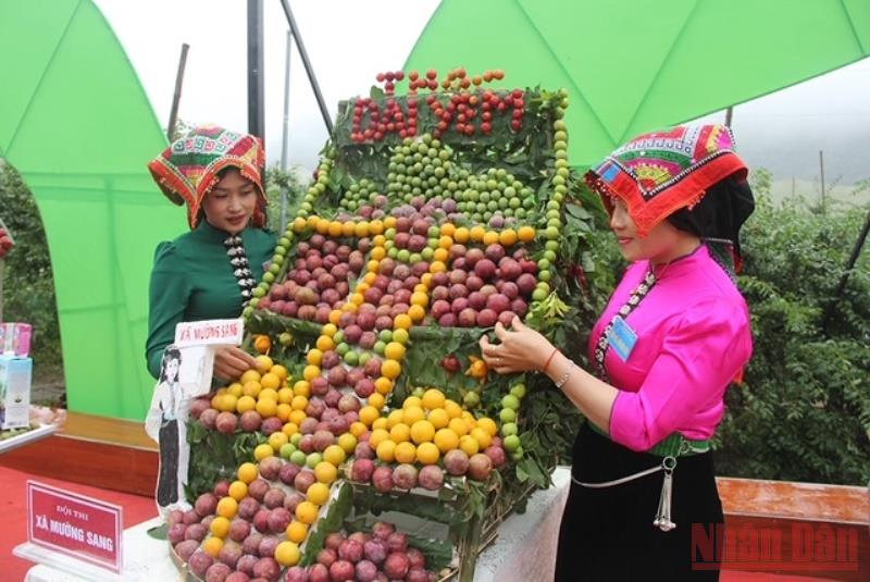 Fruit-Picking Festival: Celebrating Agricultural Bounty