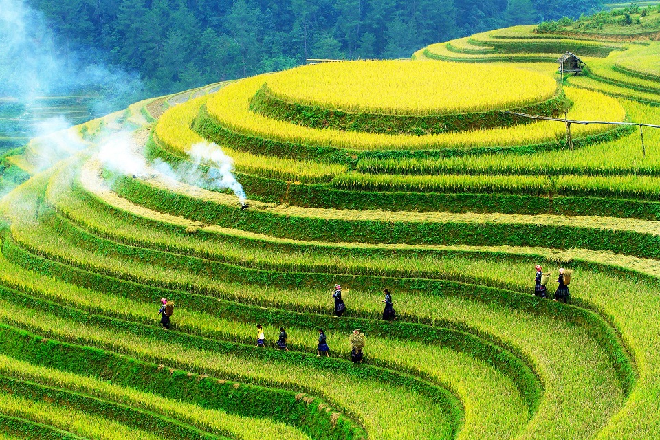 Gastronomic Journeys with Mu Cang Chai Travel Tips