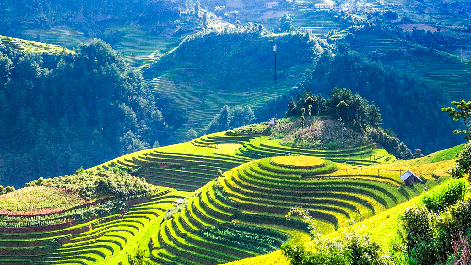 Introduction to Mu Cang Chai, Vietnam