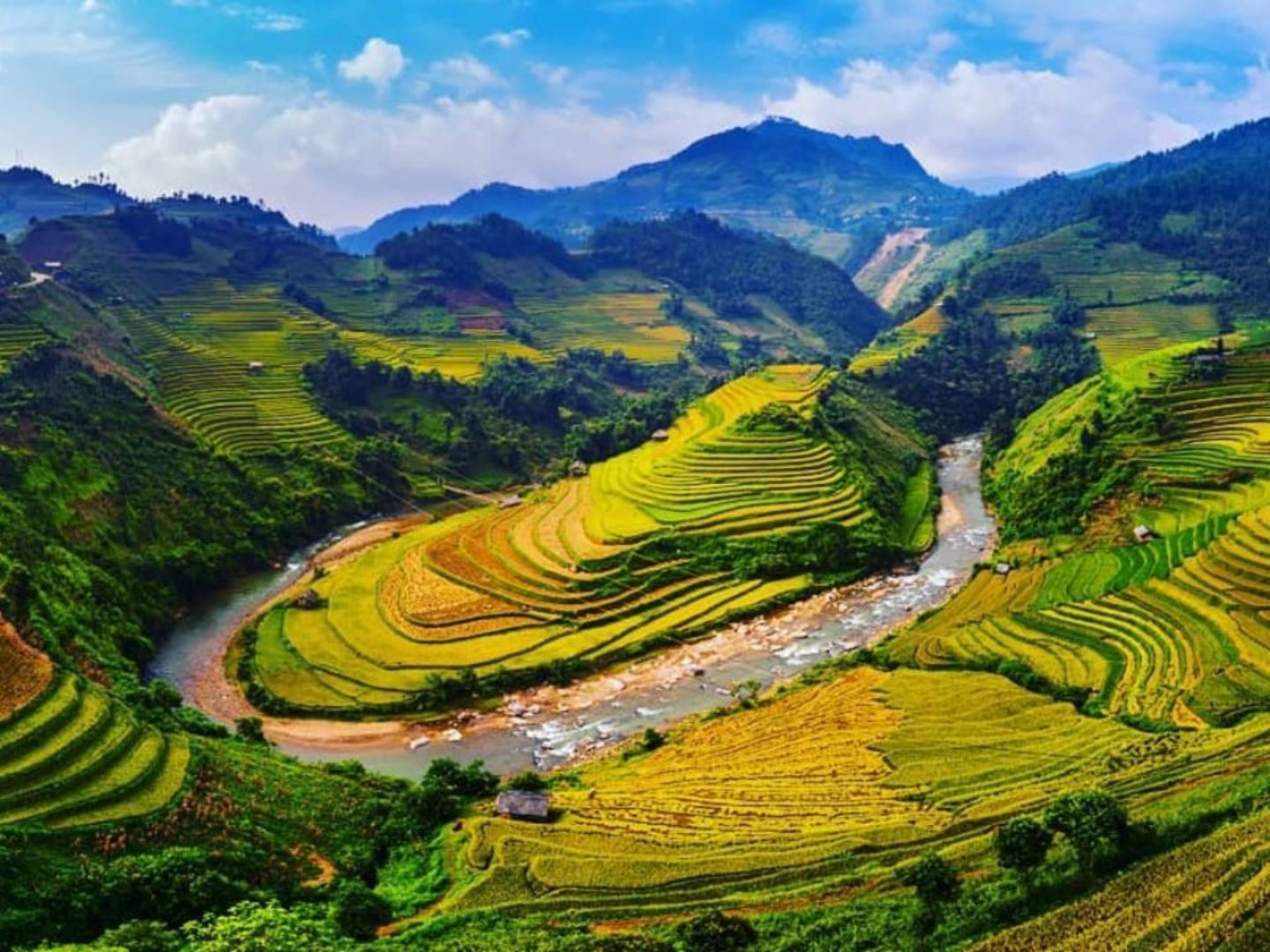 Loop Around Muong Hoa Valley