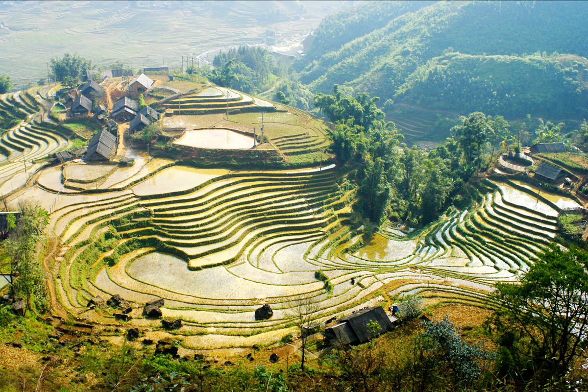 Overview about Sapa