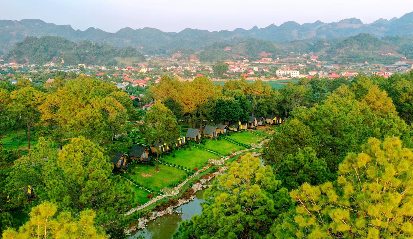 Picnic at Ang Village's Pine Forest