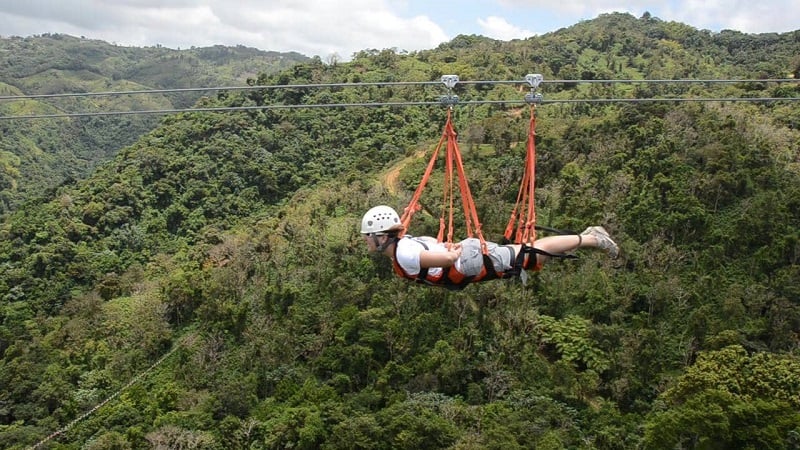 Thrilling Zip-line Adventure in Forest Canopy