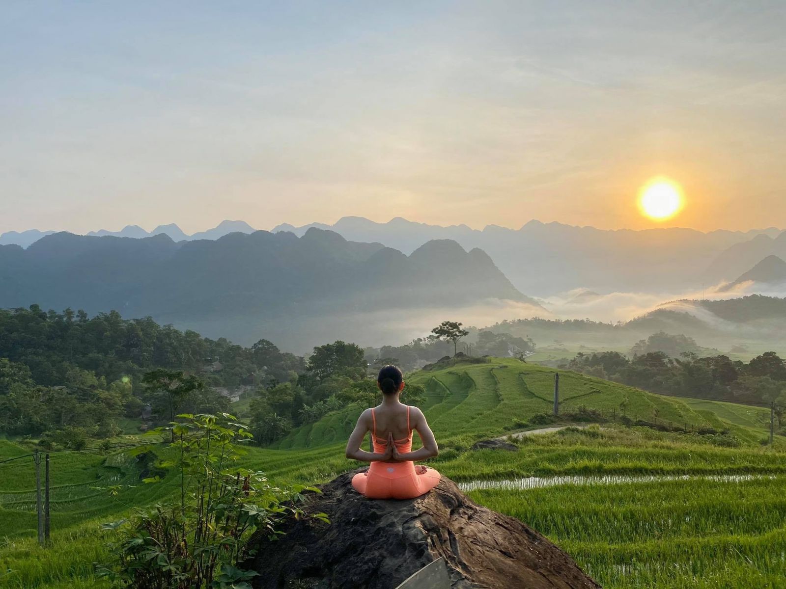 Yoga and Meditation Sessions in Nature