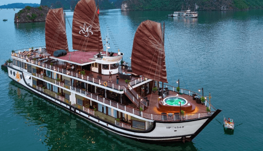 orchid cruises 3 days 2 nights 1