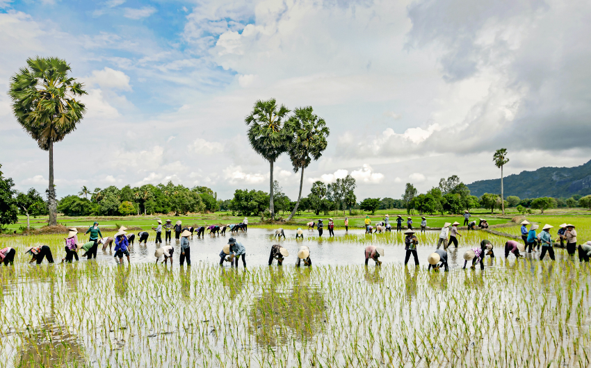 south vietnam motorcycle tour from saigon to phu quoc 3